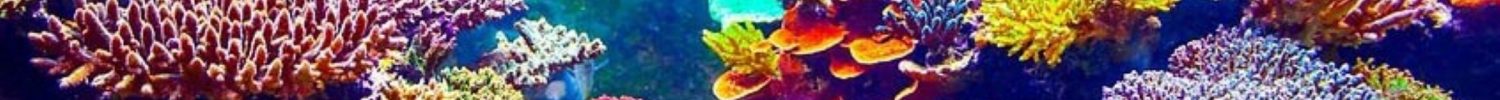 banner2048x1152